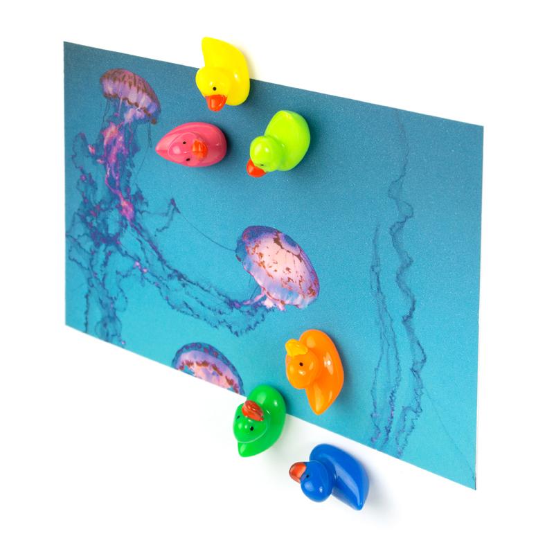 Trendform Magnete DUCK 6er Set