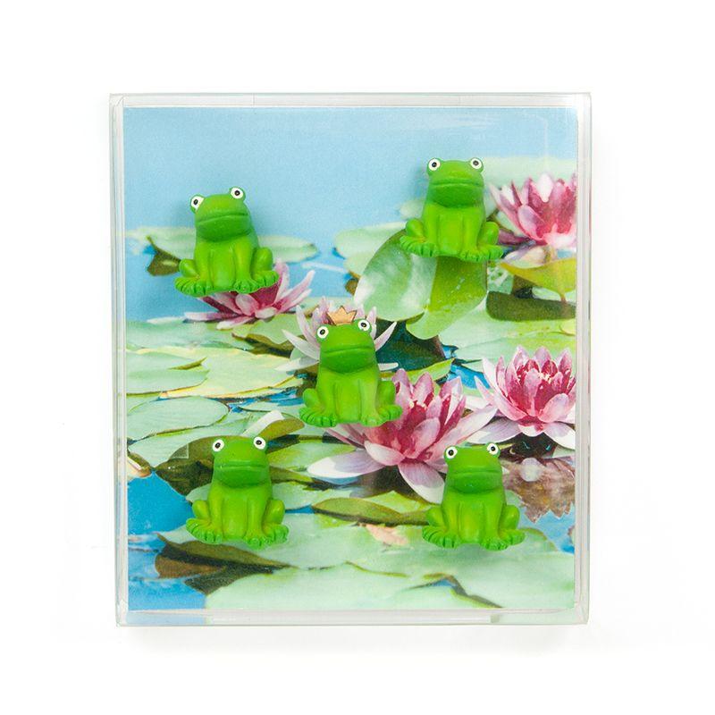 Trendform Magnete FROG 5er Set Grün