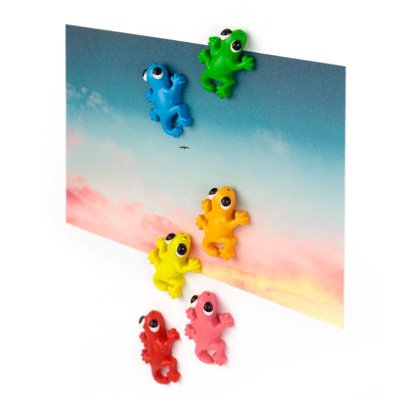 Trendform Magnete GECKO 6er Set Multicolor