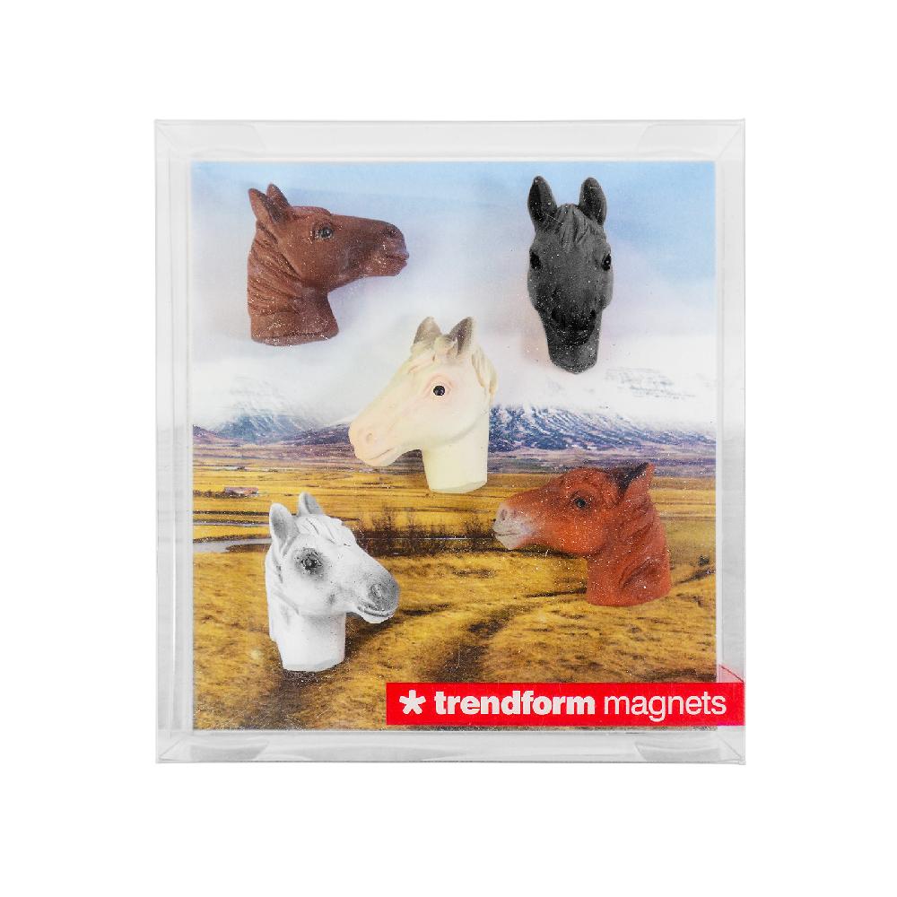 Trendform Magnete HORSE 5er Set Multicolor