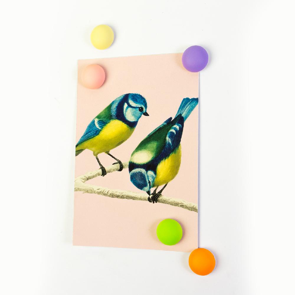 Trendform Magnete JOY 5er Set