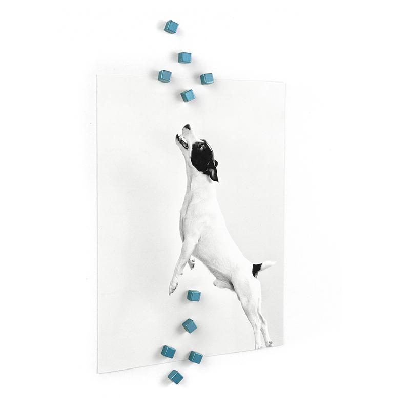 Trendform Magnete KUBIQ 10er Set Blau