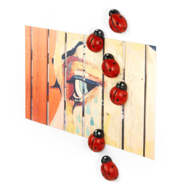 Trendform Magnete LADYBUG 6er Set Rot