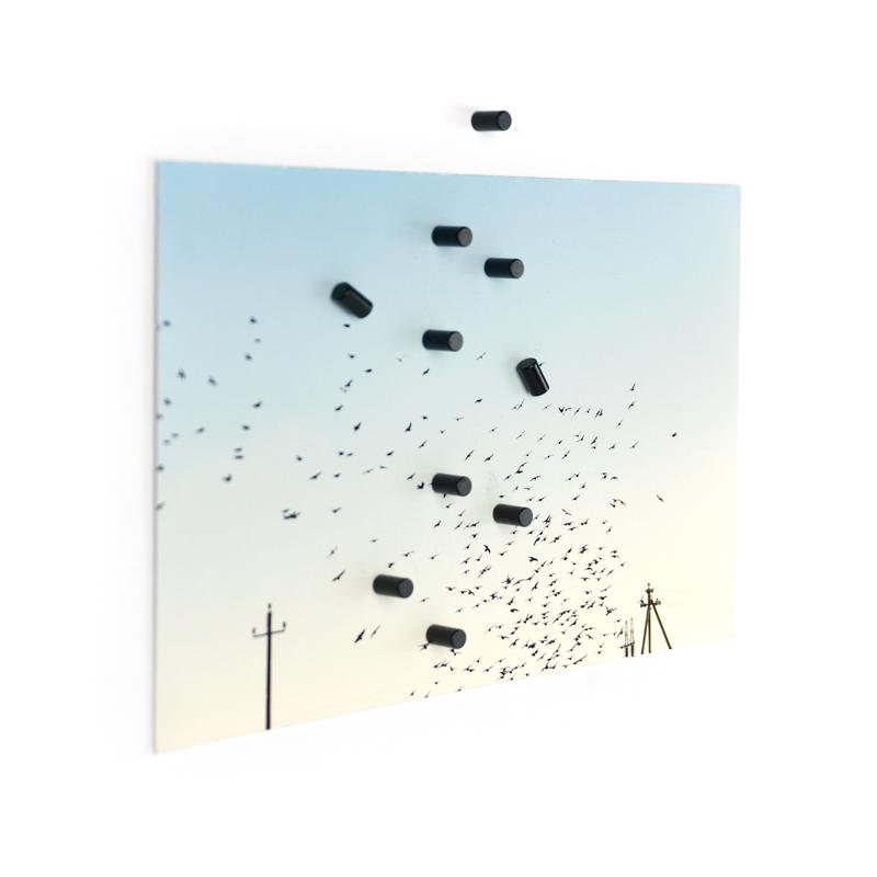 Trendform Magnete MAGNUM 10er Set Schwarz