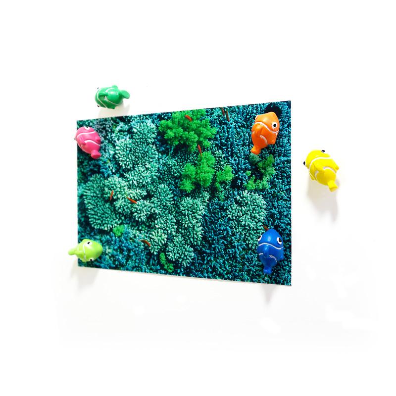 Trendform Magnete NEMO 6er Set