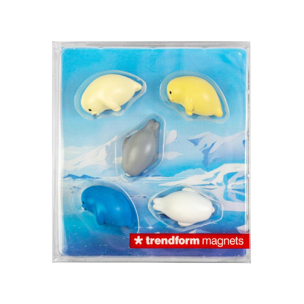 Trendform Magnete ROBBY 5er Set Multicolor