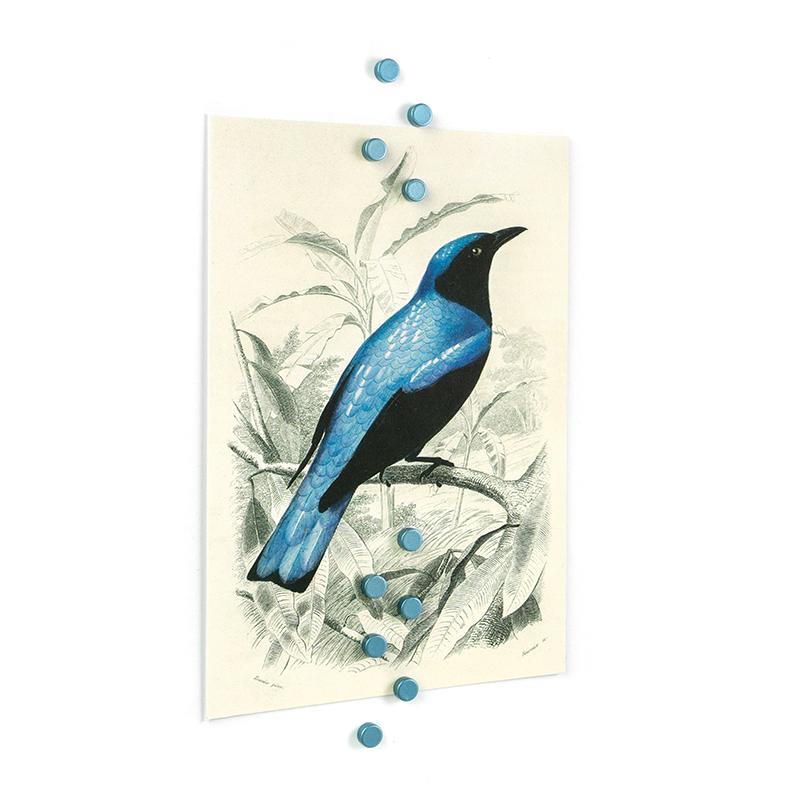 Trendform Magnete STEELY 10er Set Blau