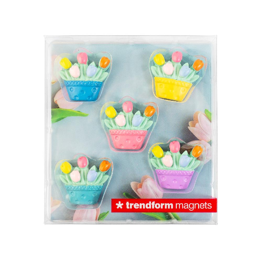 Trendform Magnete TULIP 5er Set Multicolor