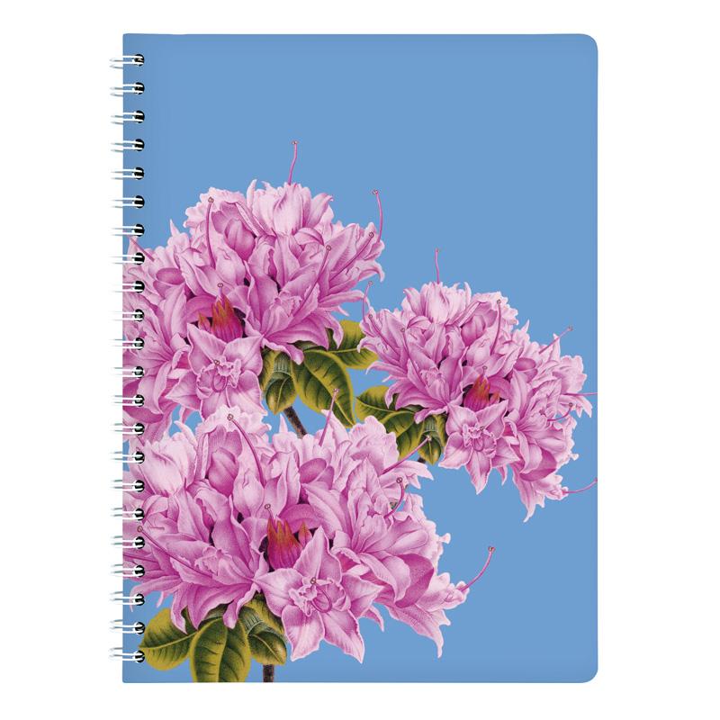 Trendform Ringbuch A4 AZALEE