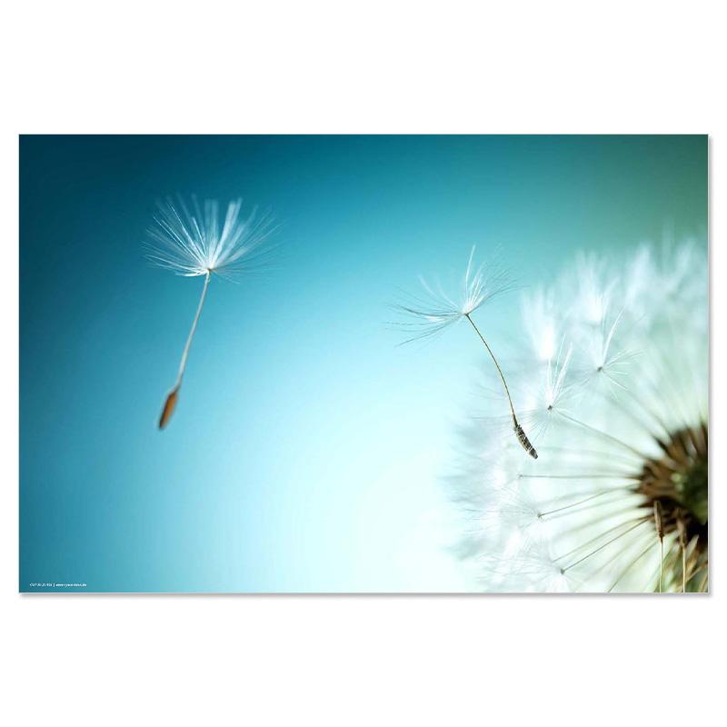 trendform Schreibunterlage FLOWER