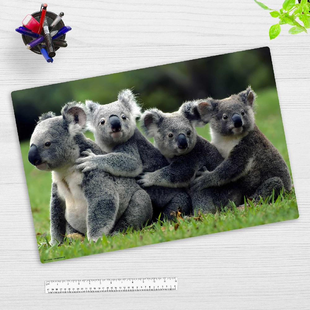 Trendform Schreibunterlage KOALA