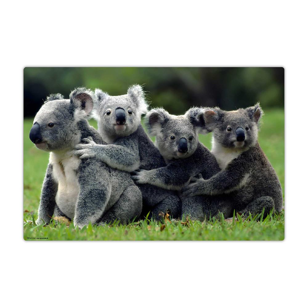 trendform Schreibunterlage KOALA