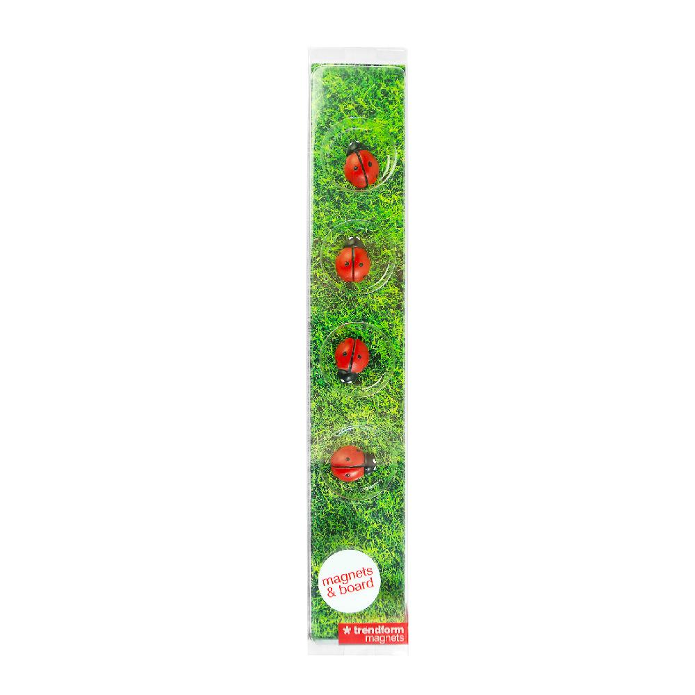 Trendform STORY BOX LADY BUG Magnete & Magnetleiste