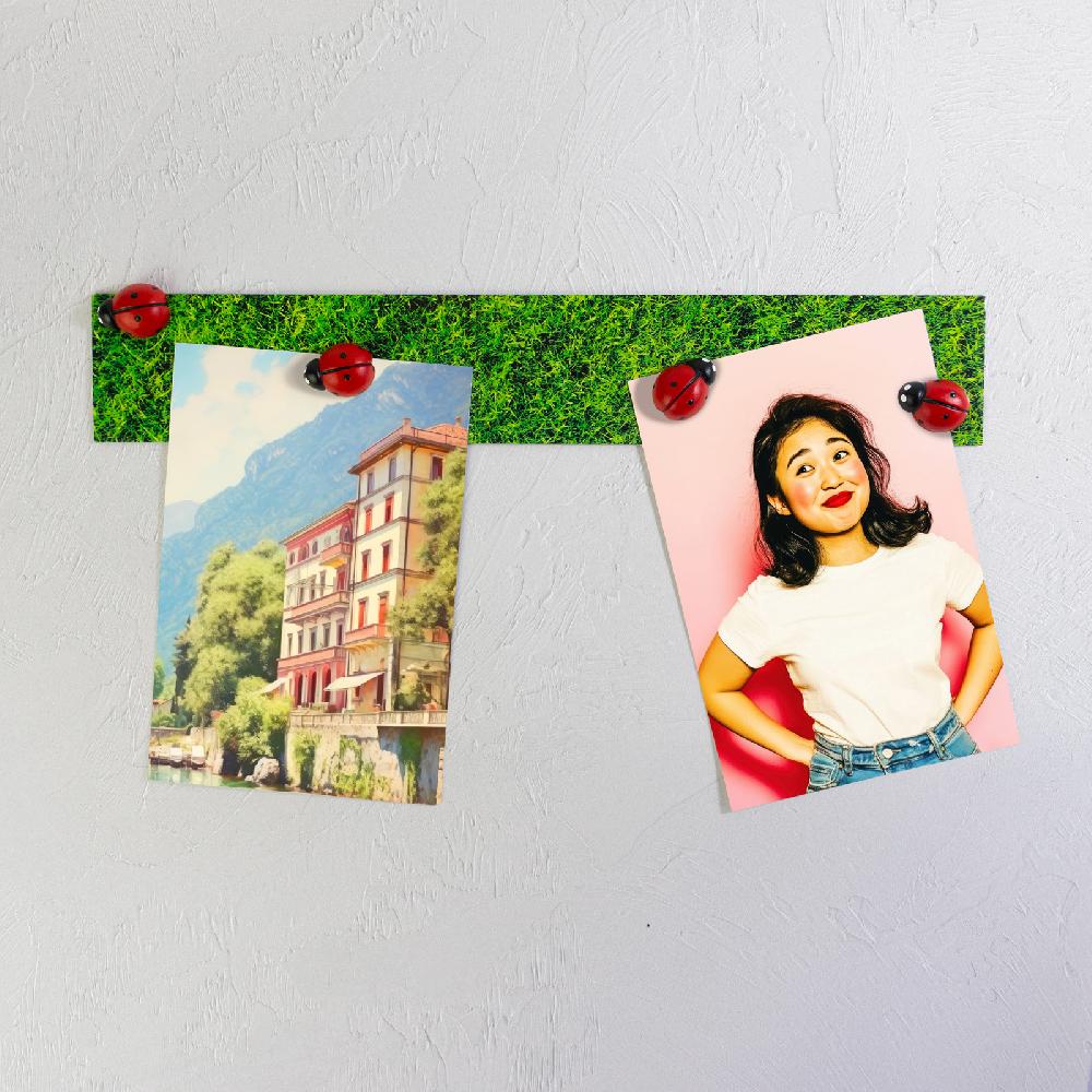 Trendform STORY BOX LADY BUG Magnete & Magnetleiste