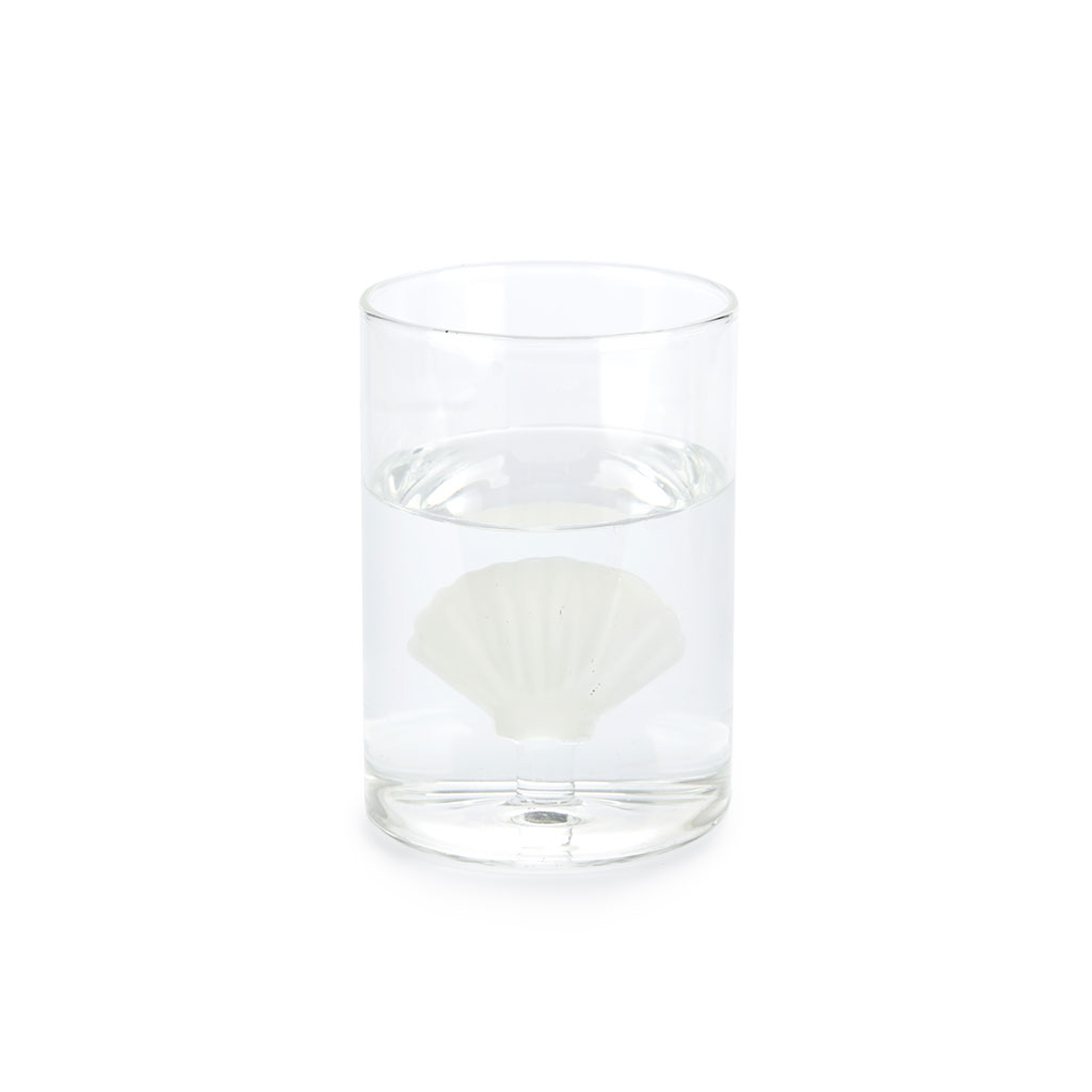 Trendform Trinkglas ATLANTIS SHELL Weiss Borosilicate