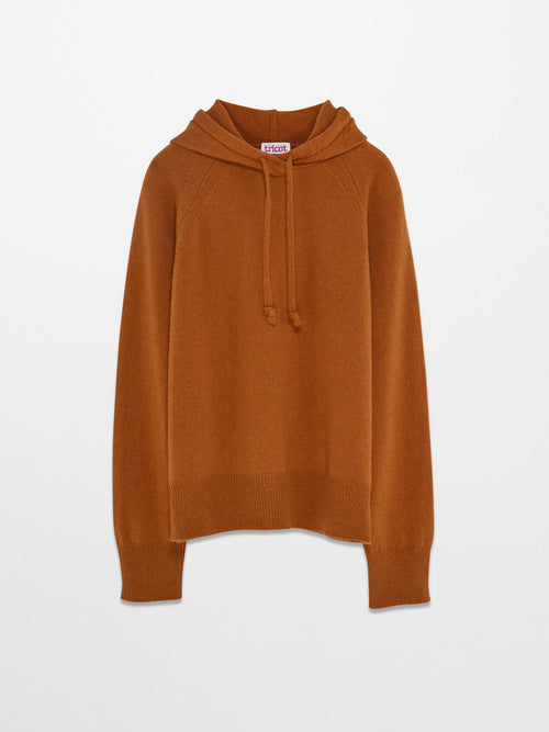 tricot Pull à capuche en laine et cachemire Ocre Femme – Tricot