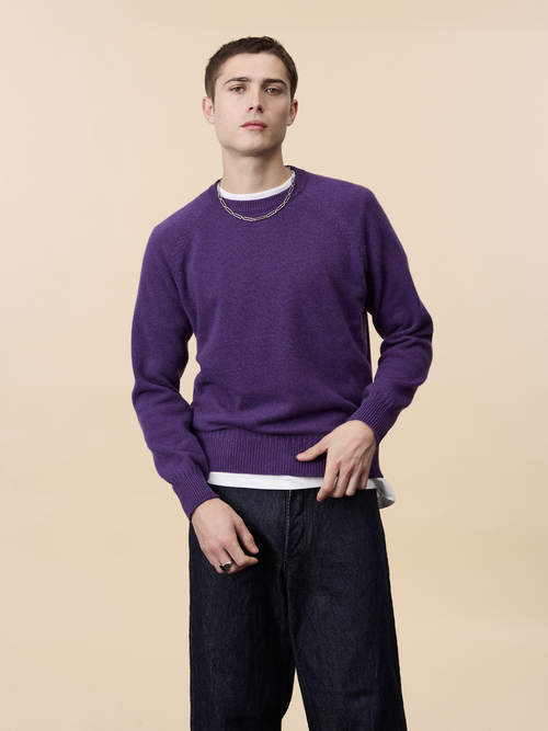 Tricot Pull Col Rond En Cachemire Léo Purple Homme – Tricot