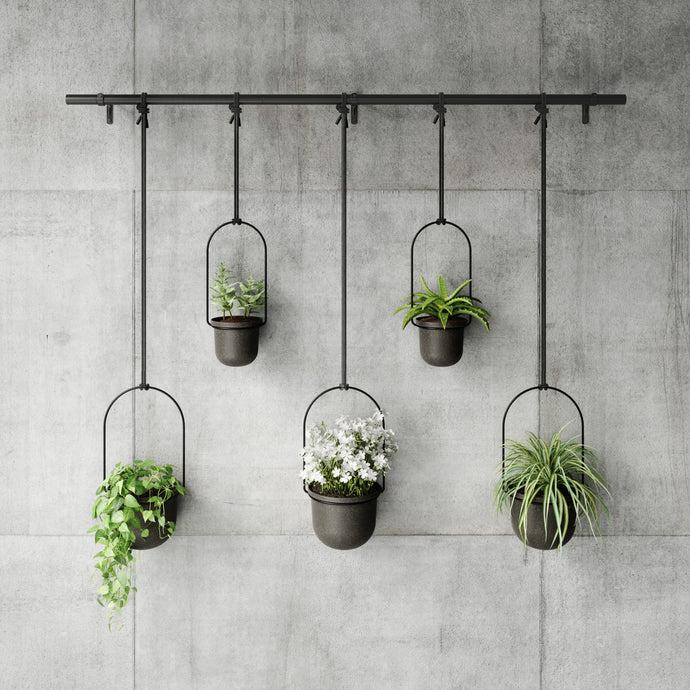 Umbra Ensemble De 5 pots Suspendus Triflora