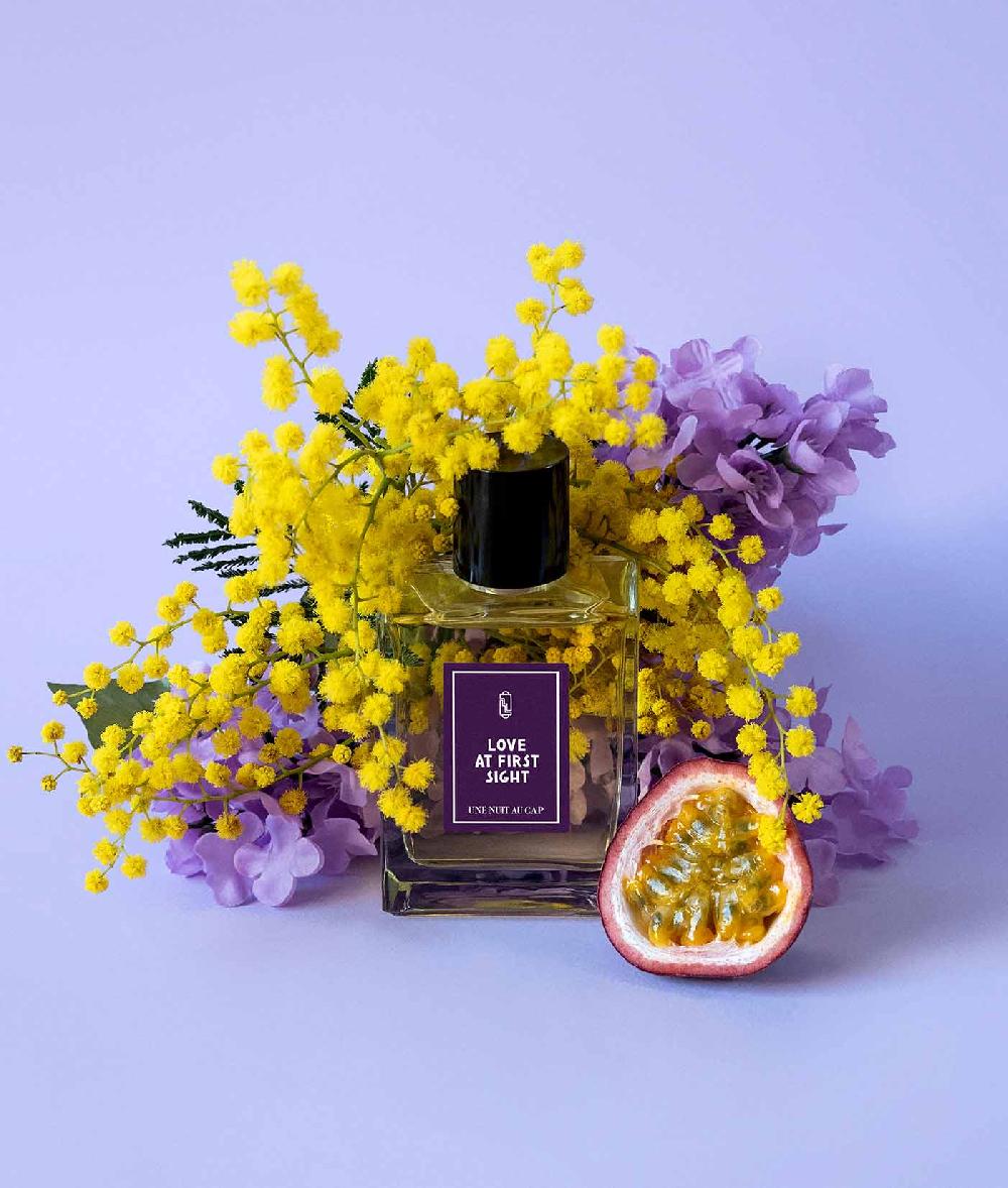 une nuit nomade Love at First Sight