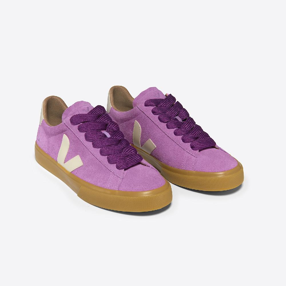 Veja CAMPO BOLD SUEDE MULBERRY PIERRE
