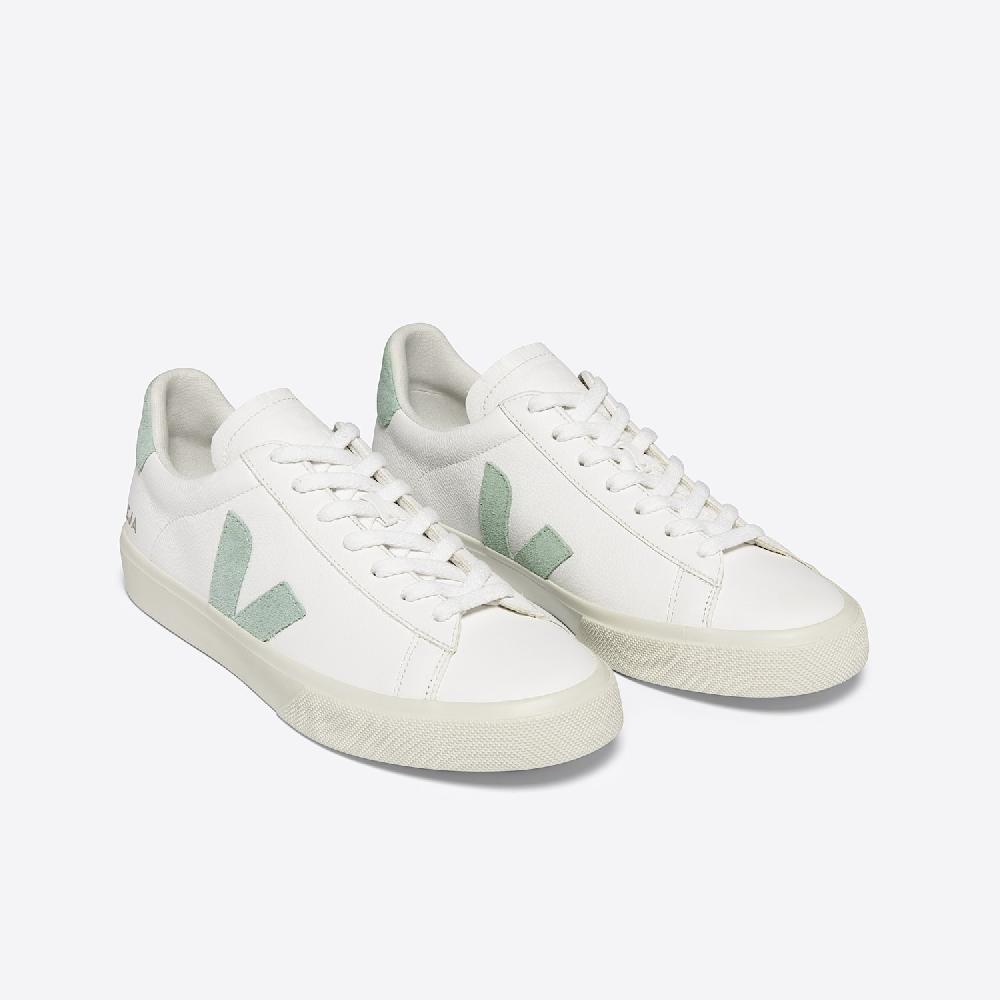 Veja CAMPO LEATHER WHITE MATCHA