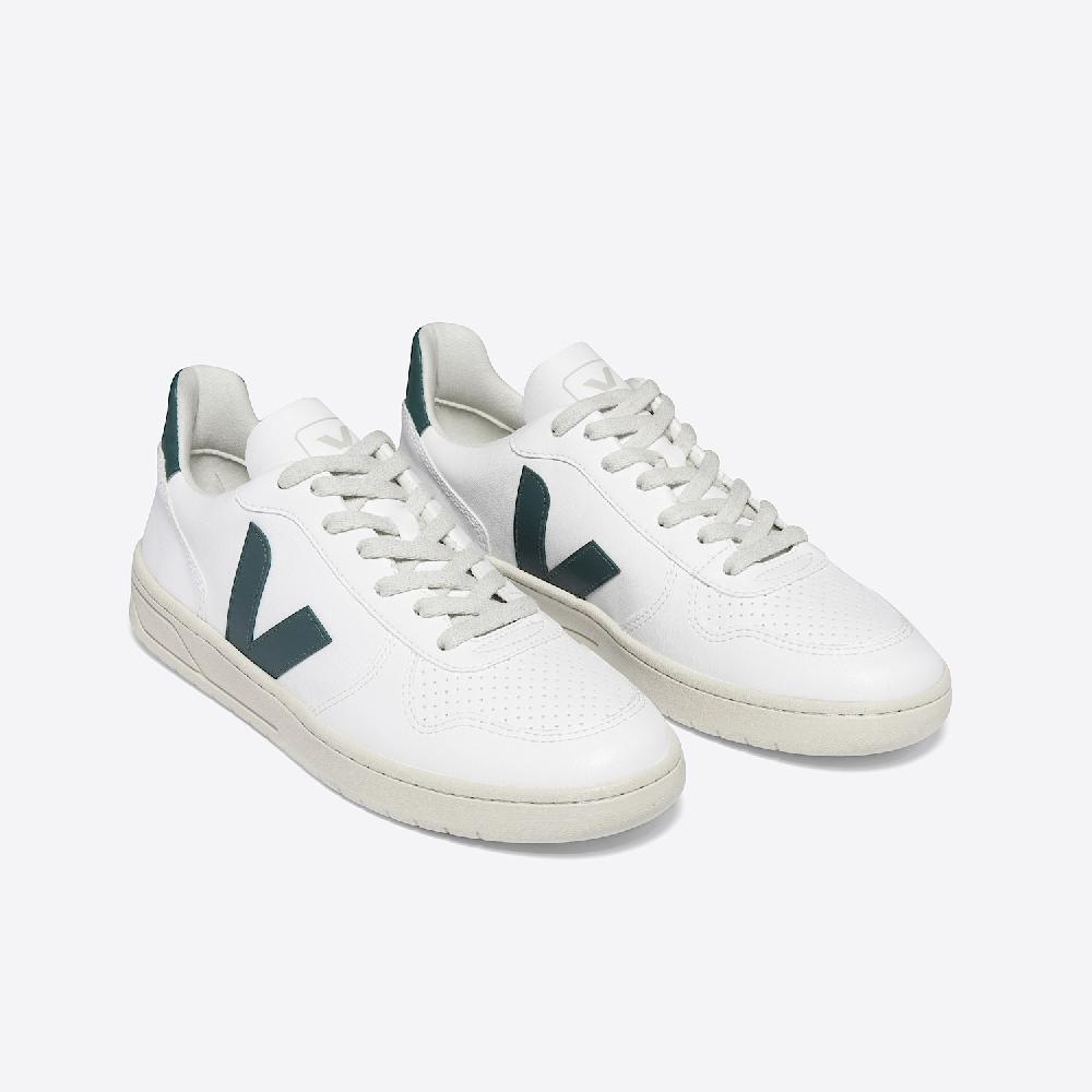 Veja V-10 CWL WHITE BRITTANY