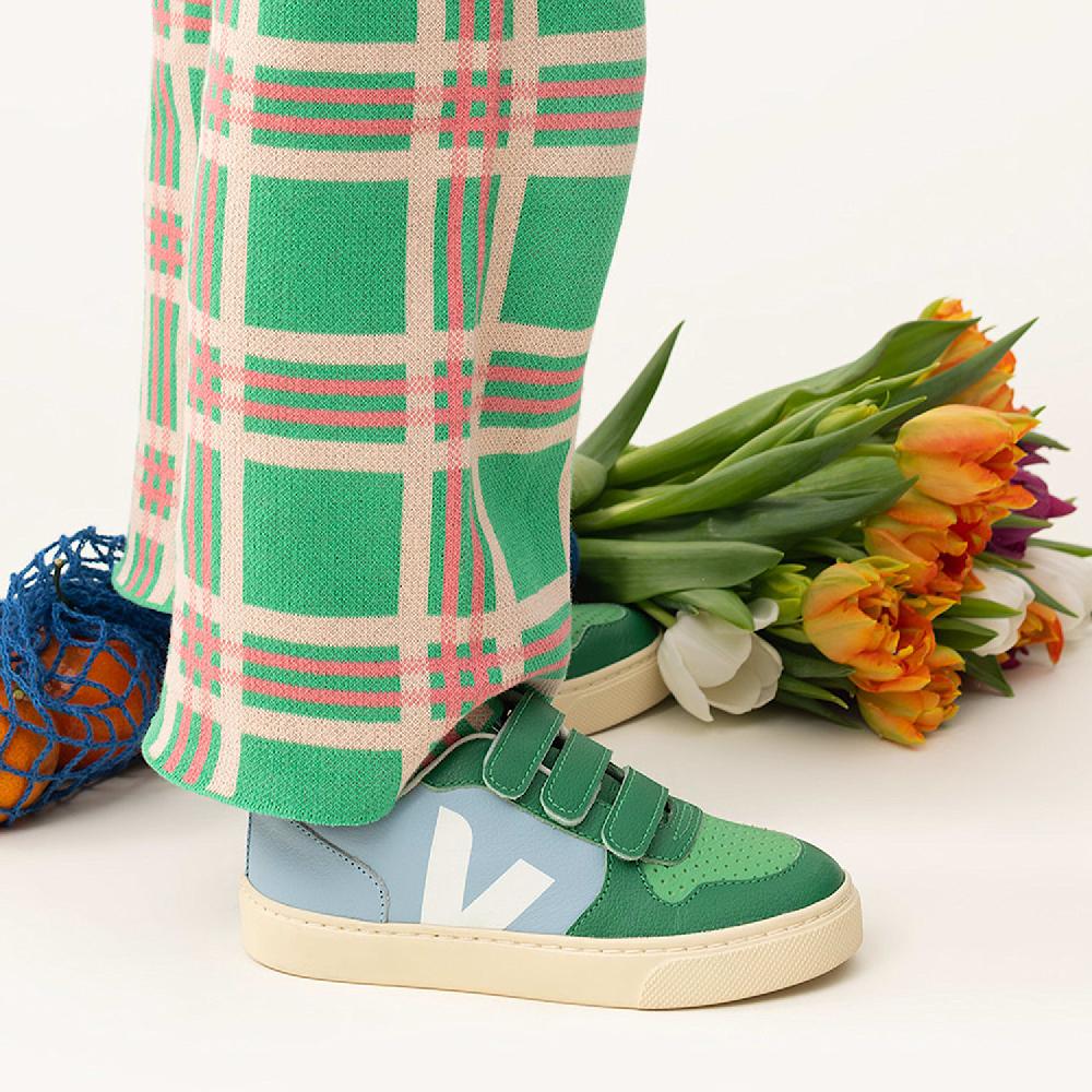 Veja V-10 VEJA X THE ANIMALS OBSERVATORY STEEL