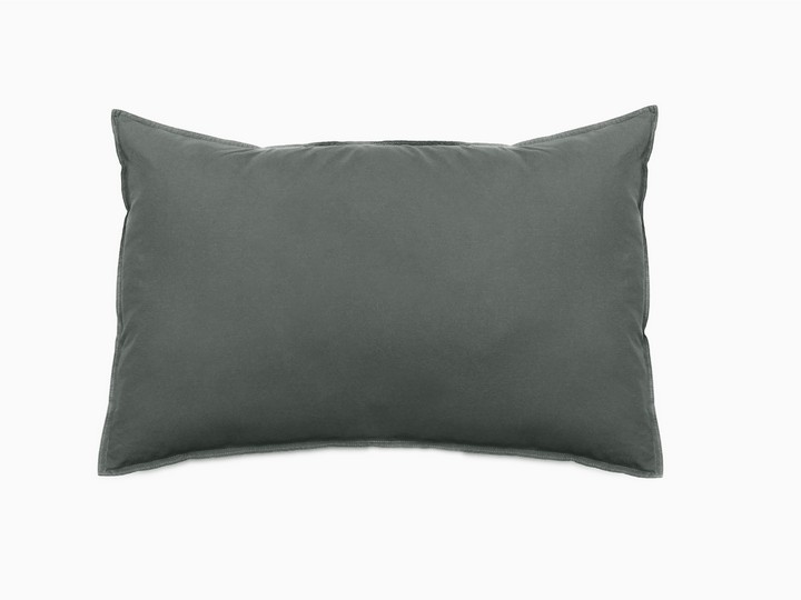 vent du sud taie d'oreiller Brume