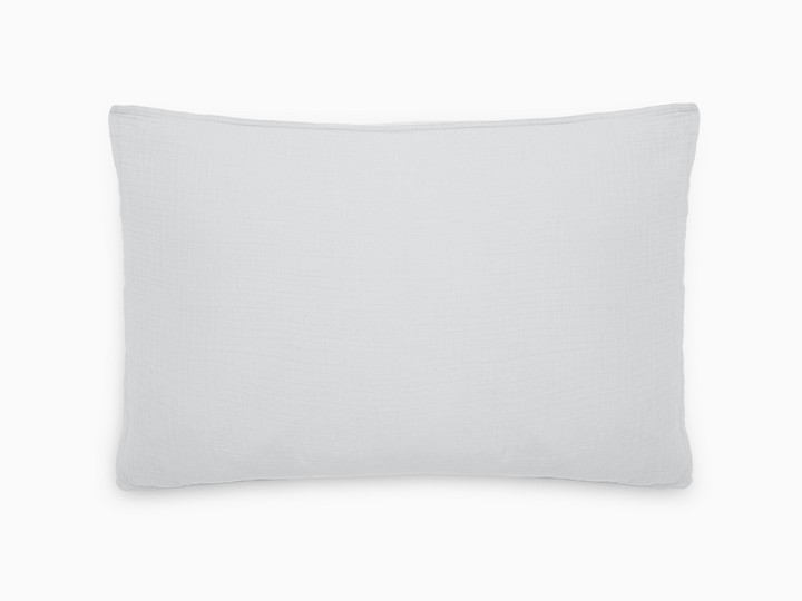 vent du sud taie d'oreiller Neige