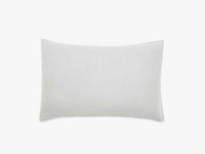 vent du sud taie de coussin Neige