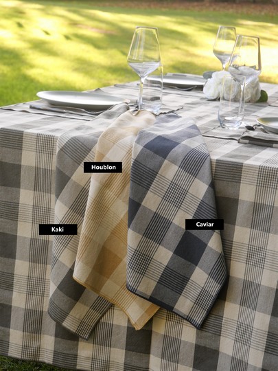 vent du sud torchon Houblon