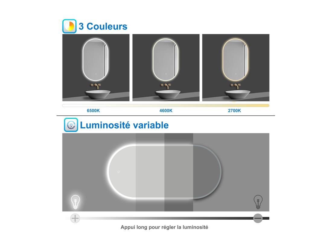 Vente Unique AICA LED Miroir Lumineux Ovale 45 X 80cm Avec Anti-buée + 3 Couleurs + Dimmable + Mémoire Miroir Salle De Bain