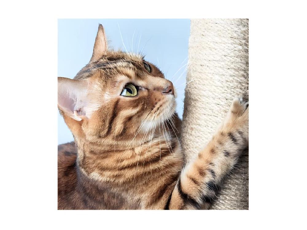 Vente Unique Arbre à Chat Avec Jouets "4 Plateformes" 138cm Gris