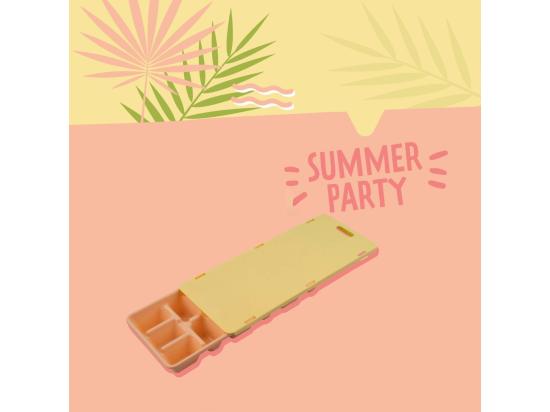 Vente Unique Bac à Glaçons 15 Glaçons Fackelmann Summer Party