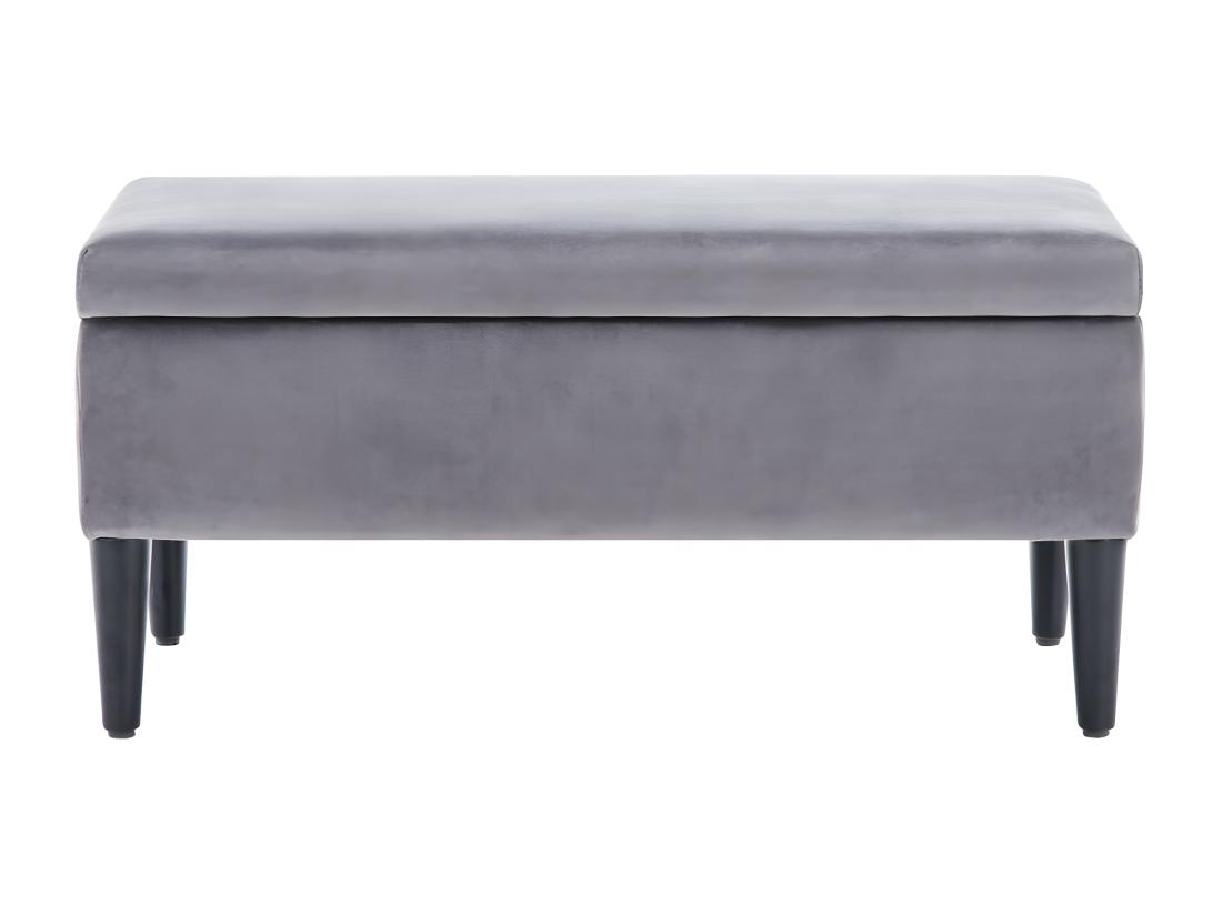 Vente Unique Banc Coffre De Rangement BUREN En Velours - Gris