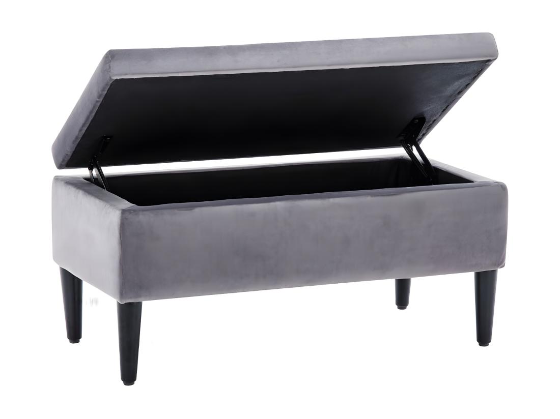 Vente Unique Banc Coffre De Rangement BUREN En Velours - Gris
