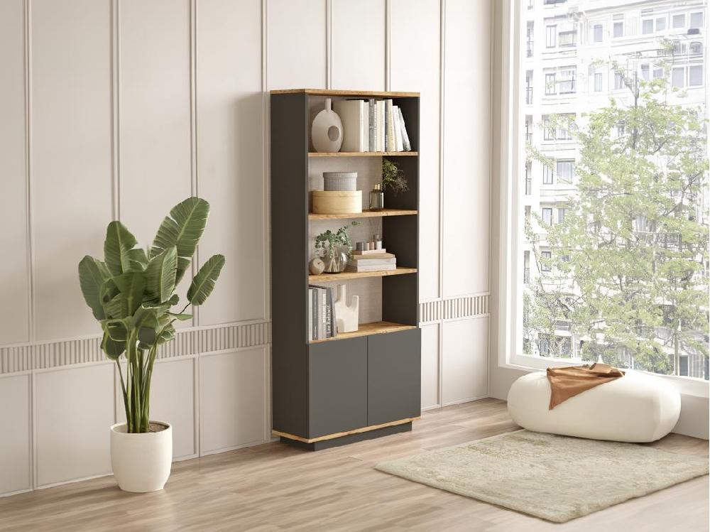 vente unique Bibliothèque avec 2 portes et 4 niches - Anthracite et naturel - LOTULA