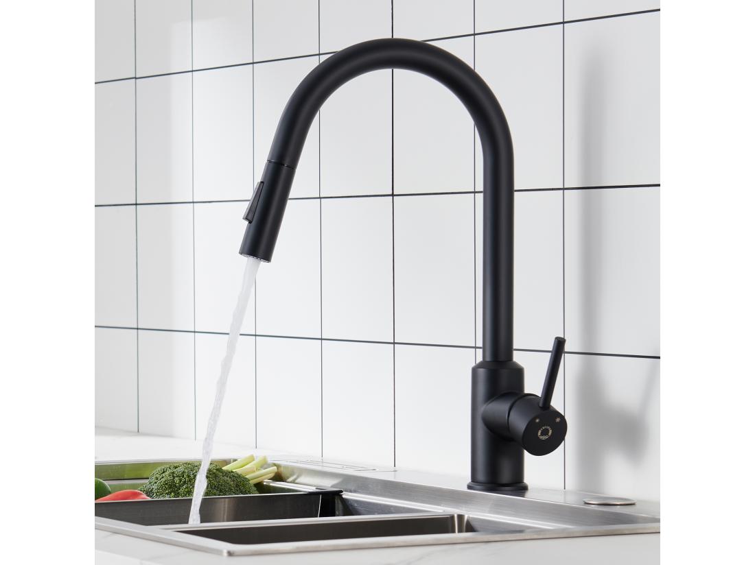 Vente Unique Cecipa Max Mitigeur De Cuisine Avec Douchette Extractible - Noir - En Acier Inoxydable Mitigeur Cuisine D'Évier - 2 Fonctions Mélangeur D EU Modèle