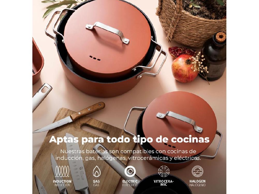 Vente Unique Cocotte 20x8 5cm Ind En Aluminium Forgé Avec Couvercle Agros 2litres