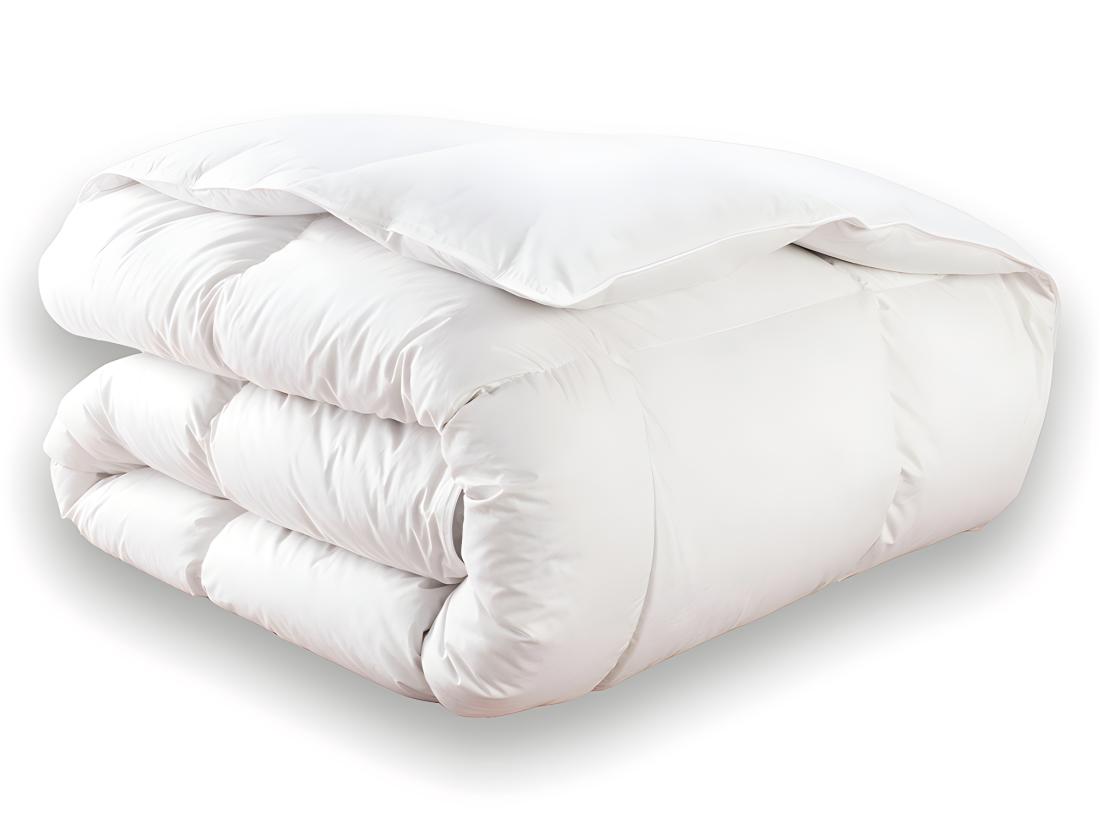 Vente Unique Couette DODO Naturelle Duvet - 220x240 Cm - BAFFIN
