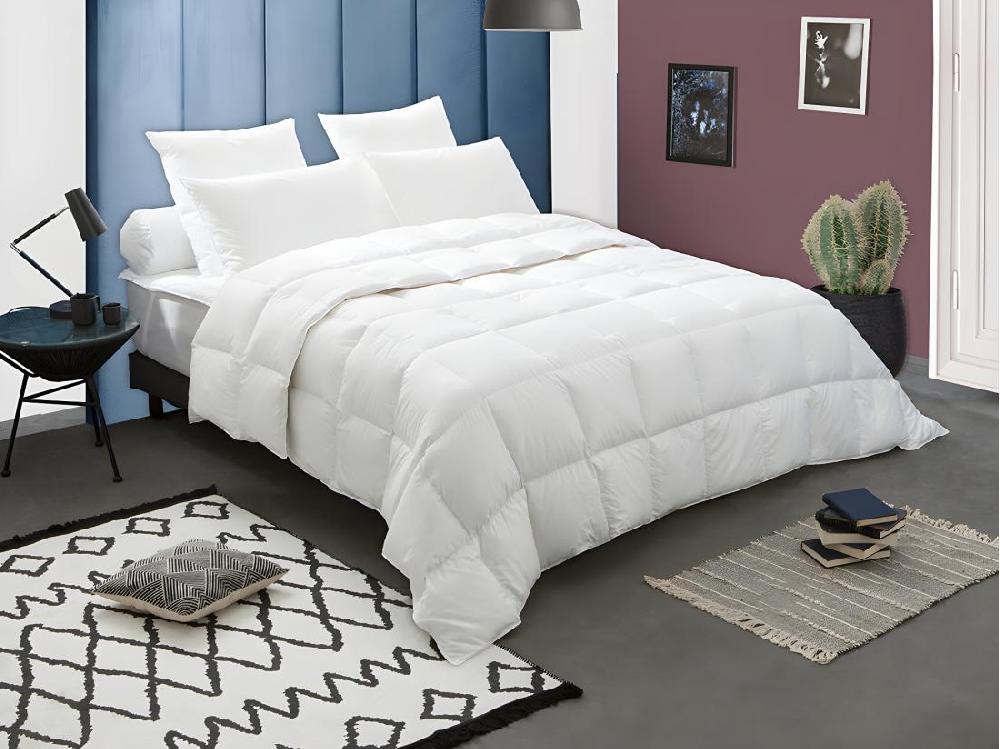 Vente Unique Couette DODO Naturelle Duvet - 220x240 Cm - BAFFIN