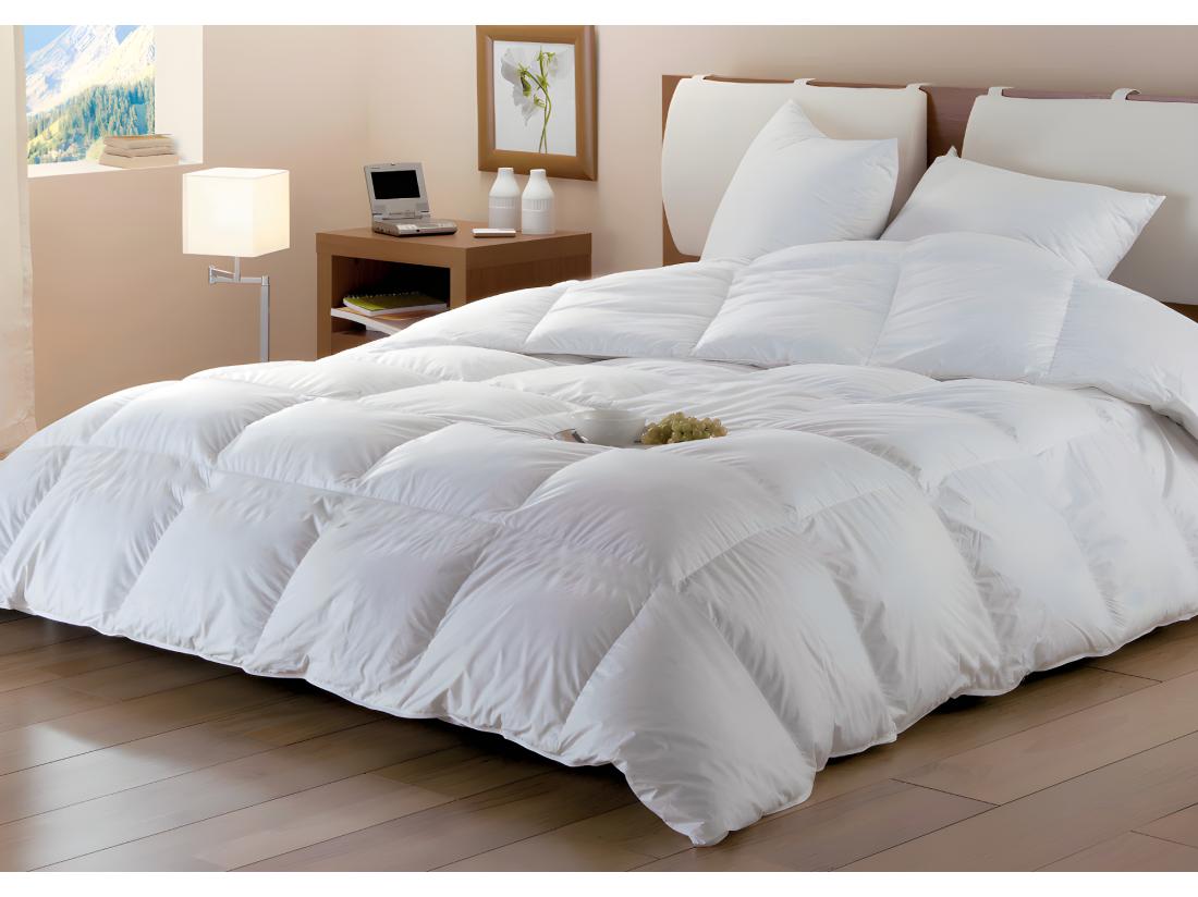 vente unique Couette DODO Naturelle Duvet - 240x260 cm - BAFFIN
