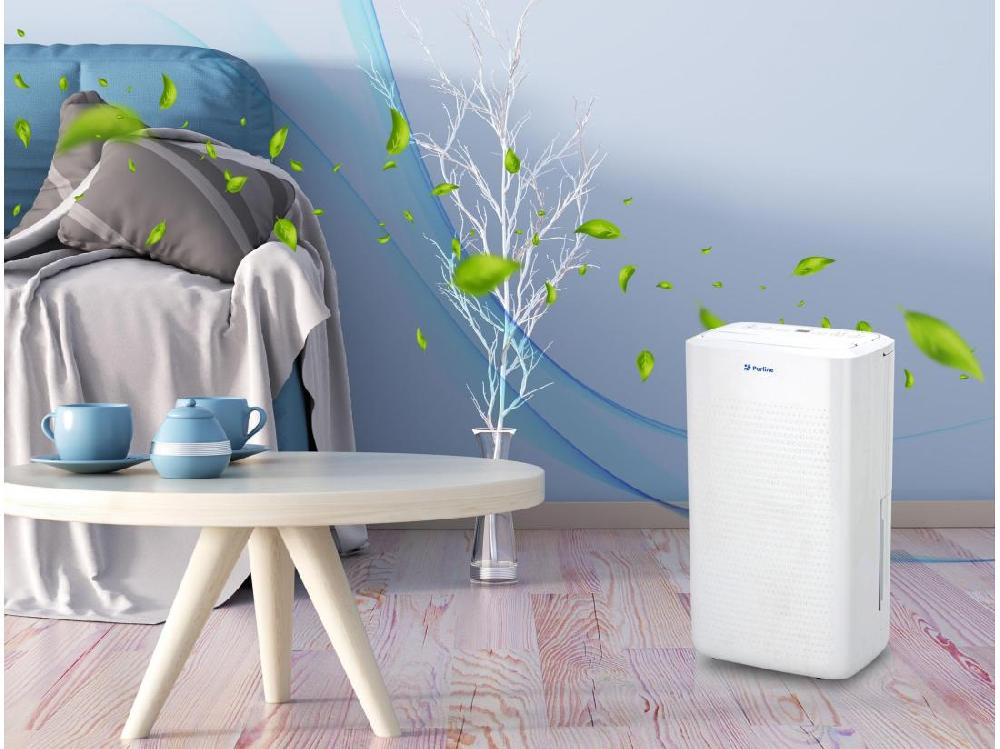 Vente Unique Déshumidificateur Avec Compresseur 12 L/d