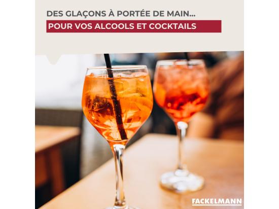 Vente Unique Lot De 2 Bac à Glaçons 14 Glaçons Fackelmann Bar Concept