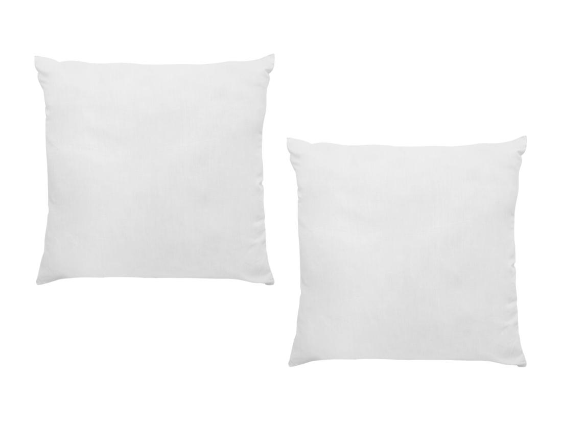 vente unique Lot de 2 oreillers 60 x 60 cm de DREAMEA - 400gr - BIESYA