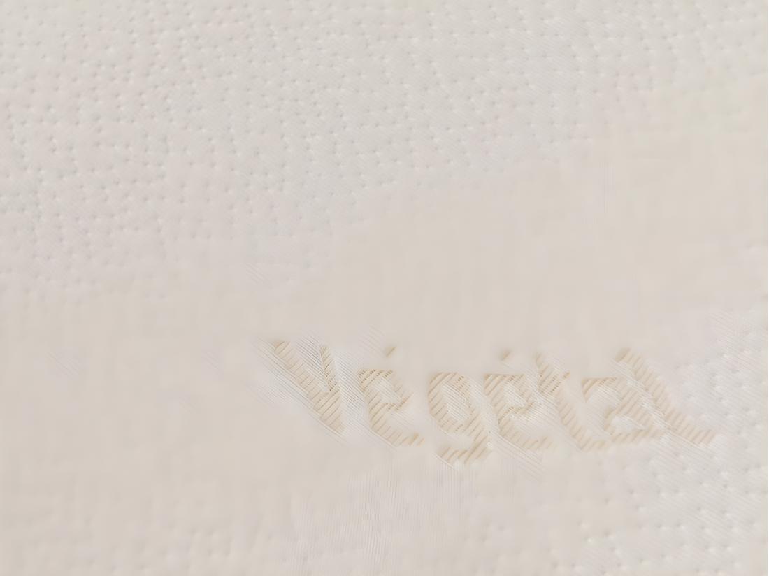 Vente Unique Lot De 2 Oreillers DODO Ergonomiques à Mémoire De Forme - 60x60 Cm - VEGETAL