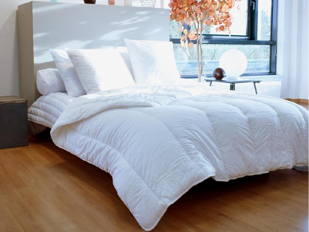 vente unique Lot de 2 oreillers traitement anti-acariens naturel Greencare - 60 x 60 cm - 550 gr - Blanc - coton - AZYLIA