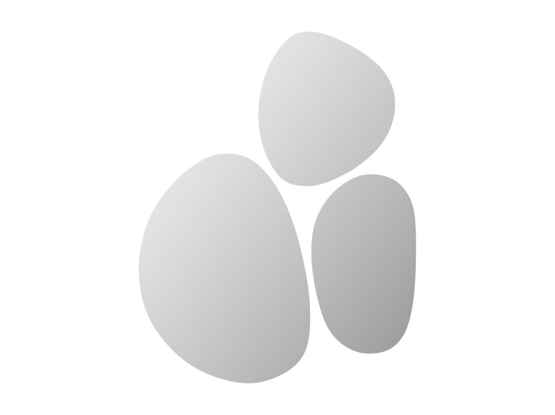 Vente Unique Lot De 3 Miroirs Muraux Organiques - 3 Tailles - SANIJI