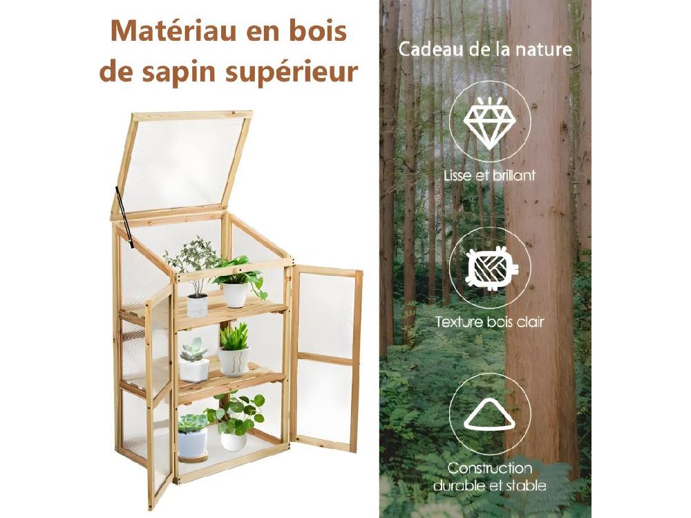 Vente Unique Mini Serre De Jardin 60x45x100CM Vitrages Transparents En Polycarbonate Avec Etagères à 3 Niveaux Pour Jardin/Balcon/Porche