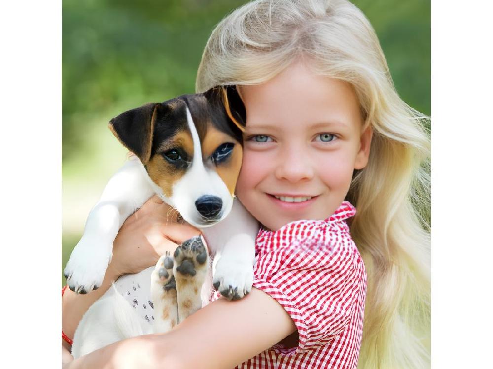 Vente Unique Niche Chien En Bois Moderne De Haute Qualite BELLA 221 Taille M 78 X 87 X 82 Cm